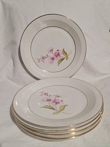 Lot assiettes semi plate - lot,